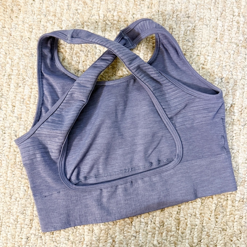 Alphalete Revival Vault Bra French Blue Medium